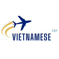 cover art for Vietnamese Top