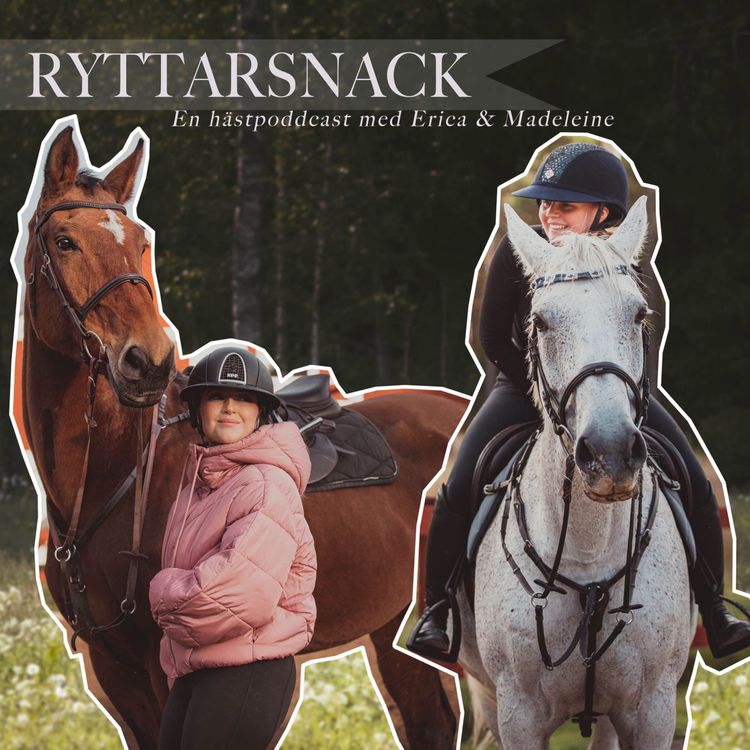 cover art for Ryttarsnack 2.0