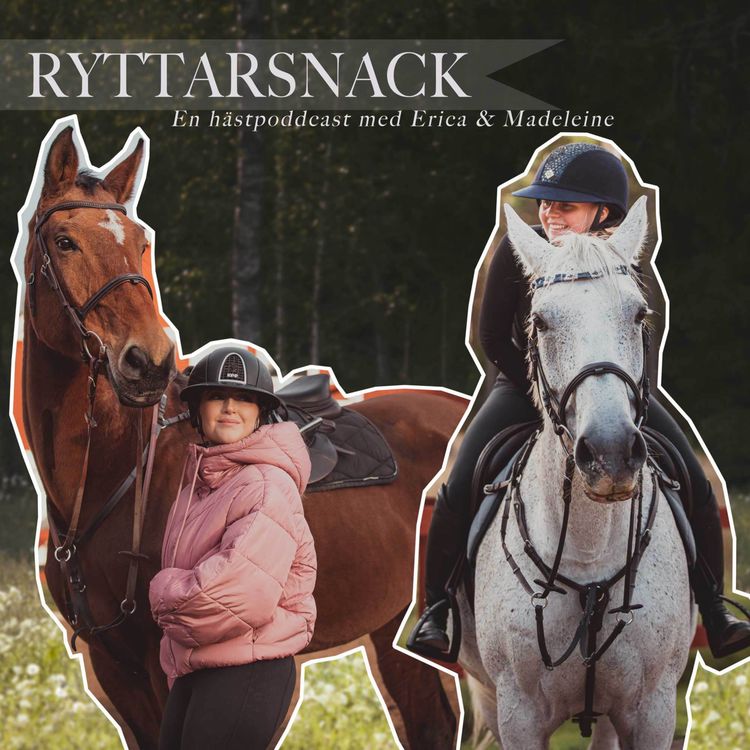 cover art for Equiterapi och olika hjälpmedel