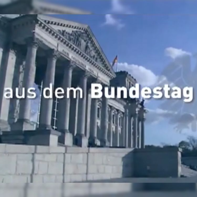 cover art for FDP will Wirtschaftswende - und auch den Bruch der Ampel? - Aus dem Bundestag