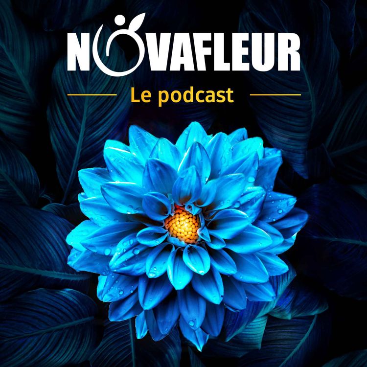 cover art for Novafleur, le podcast - épisode 2