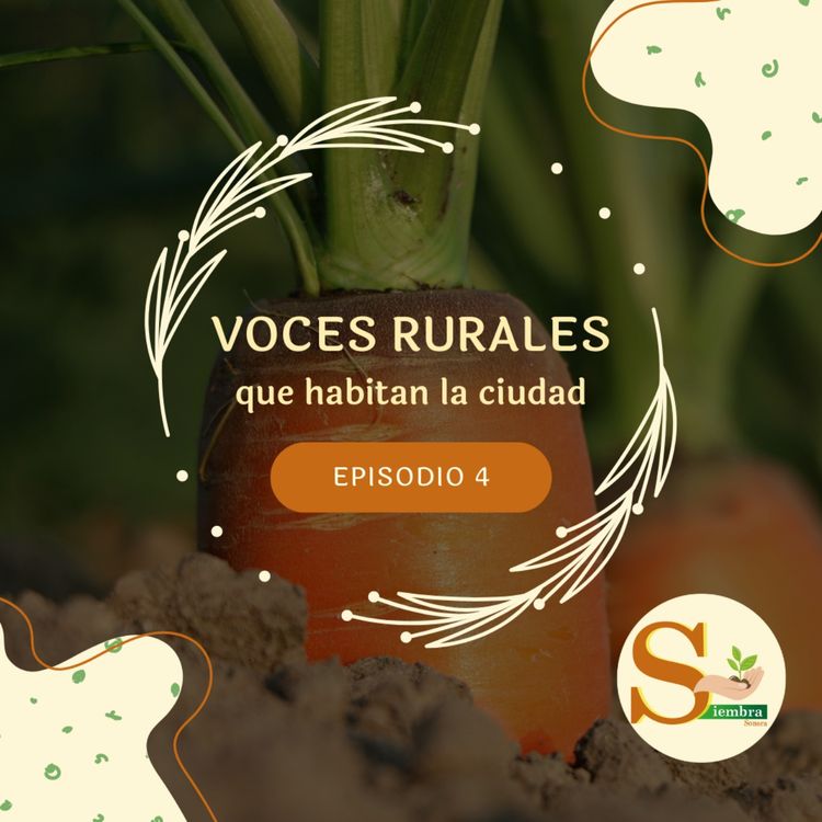 cover art for Para reflexionar