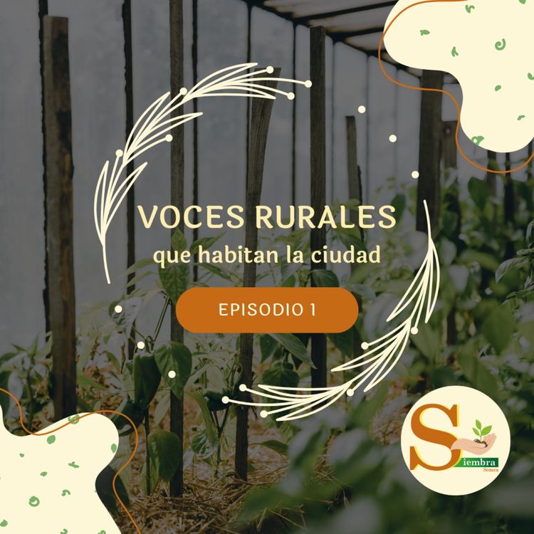cover art for Voces rurales que habitan la ciudad