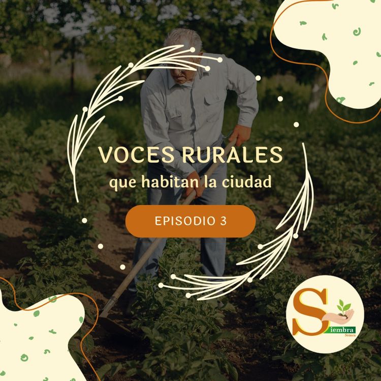 cover art for Voces campesinas