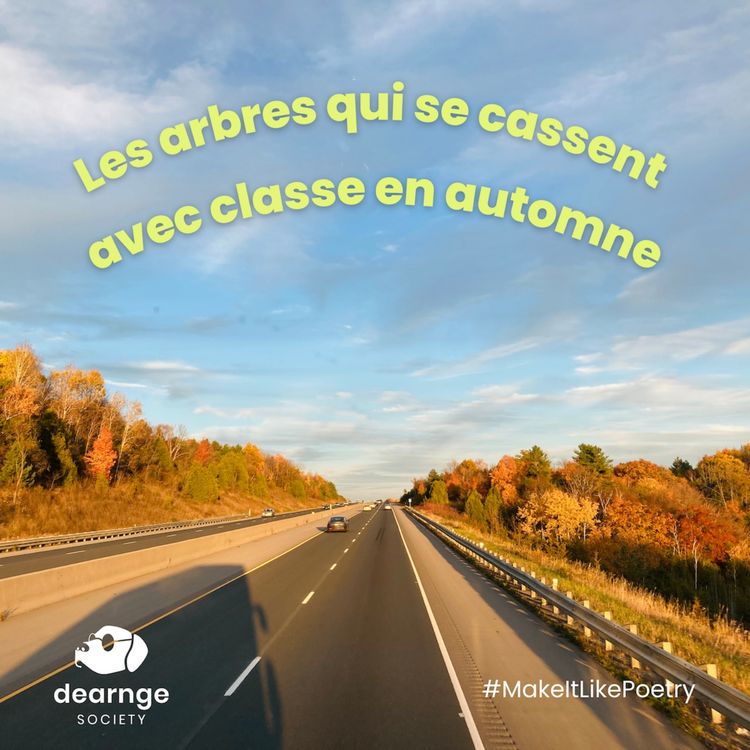 cover art for #34 Les arbres qui se cassent avec classe en automne