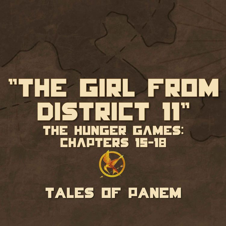 cover art for The Girl From District 11