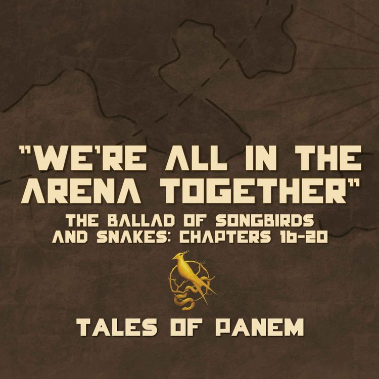 cover art for We're All in the Arena Together