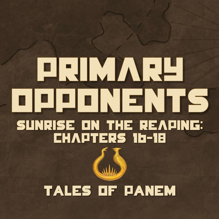 cover art for Primary Opponents