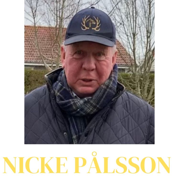 cover art for Nicke Pålsson