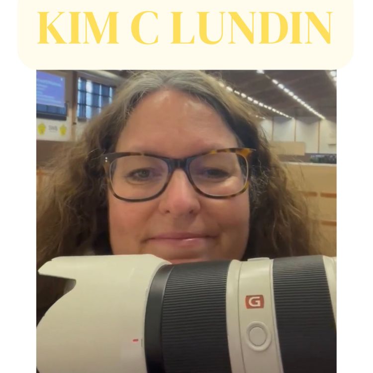 cover art for Kim C Lundin