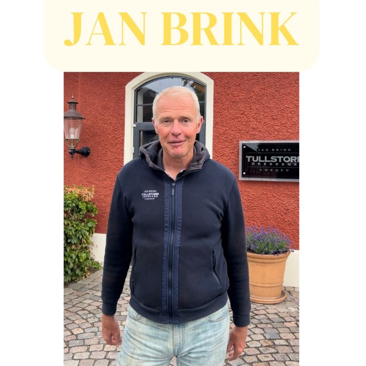 cover art for Jan Brink