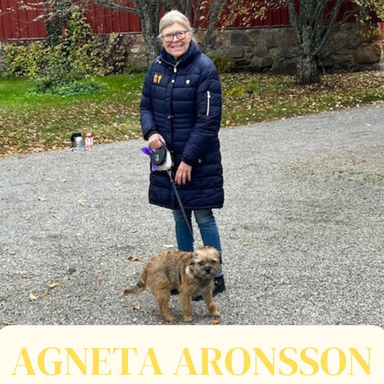 cover art for Agneta Aronsson