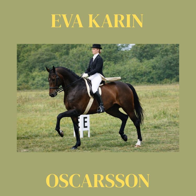 cover art for Eva Karin Oscarsson