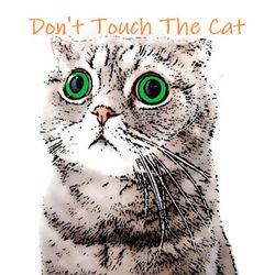 cover art for Don't touch the cat