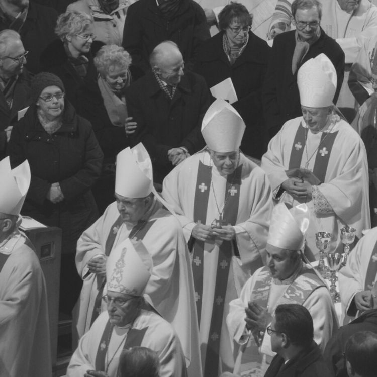 cover art for Synode : pourquoi une étape continentale ?