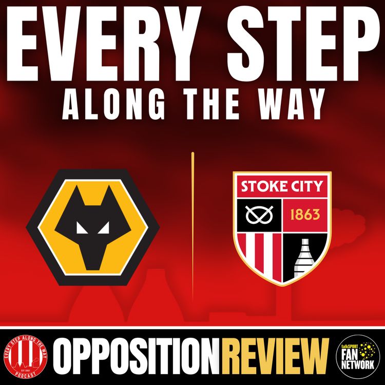 cover art for Opposition View: Dave(Talking Wolves) - Wolves - A - 29/8/26