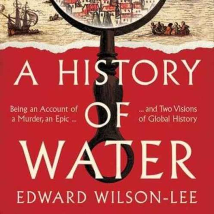 cover art for A true historical detective story set in the 16th Century