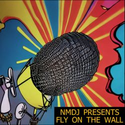 cover art for NMDJ 
presents 
Fly On The Wall