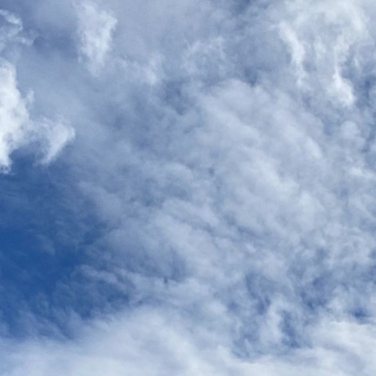 cover art for Episode Two: To Pierce or Not to Pierce?