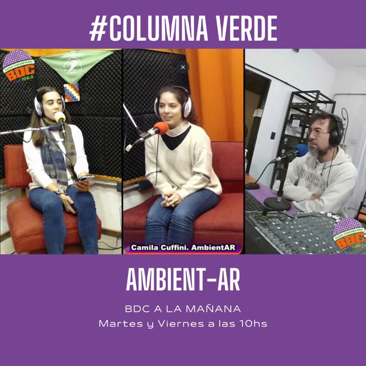 cover art for #CamilaCuffini, fundadora de la organización #AmbientAr en "#BDC a la mañana"