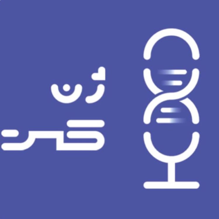 cover art for اپیزود موقت