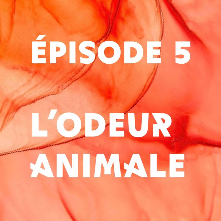 cover art for Épisode 5 - L'odeur animale
