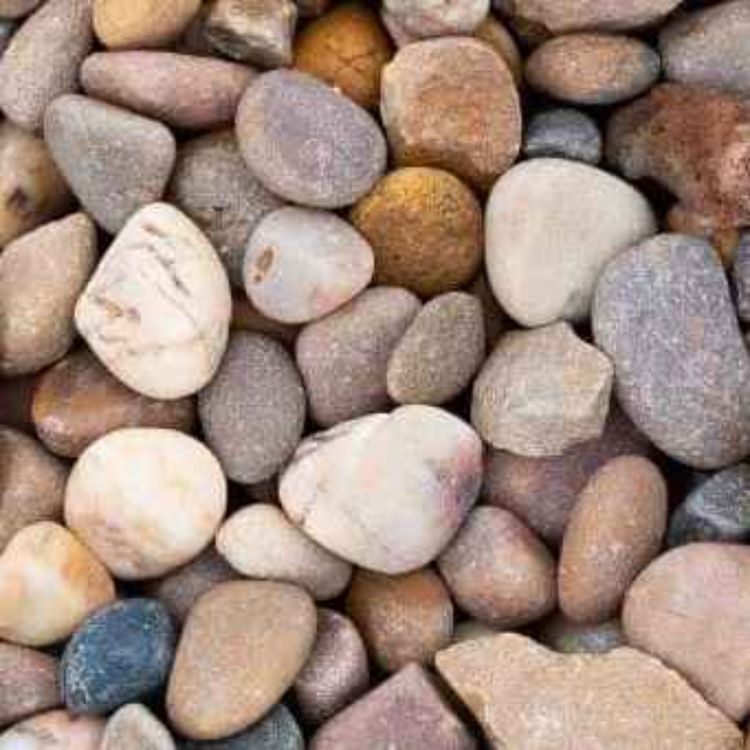 cover art for The Very Serious Podcast #13 - Who Wants To Know More About Gravel?