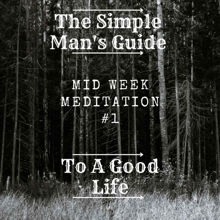 cover art for Mid Week Meditation 