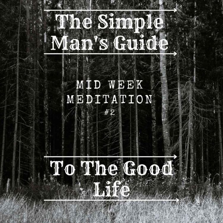 cover art for Mid Week Meditation #2