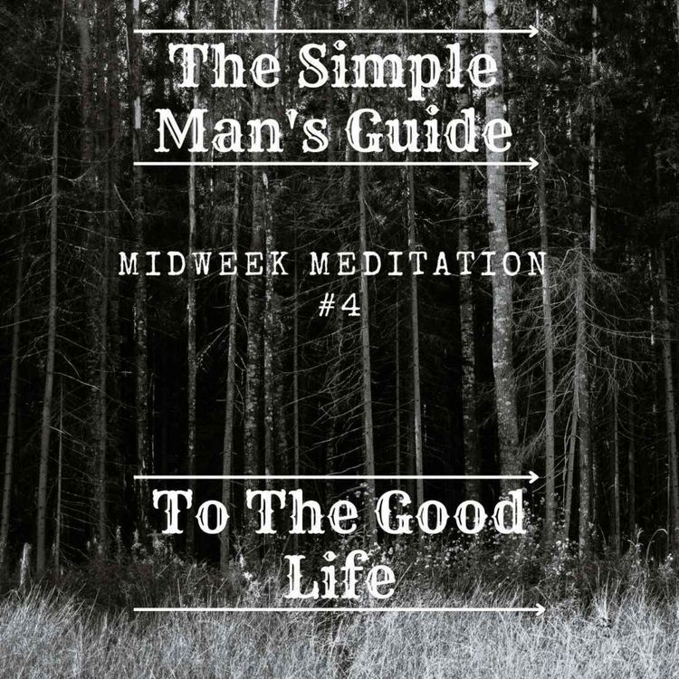 cover art for Midweek Meditation #4