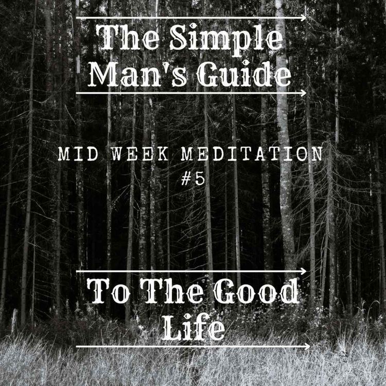 cover art for Mid Week Meditation # 5