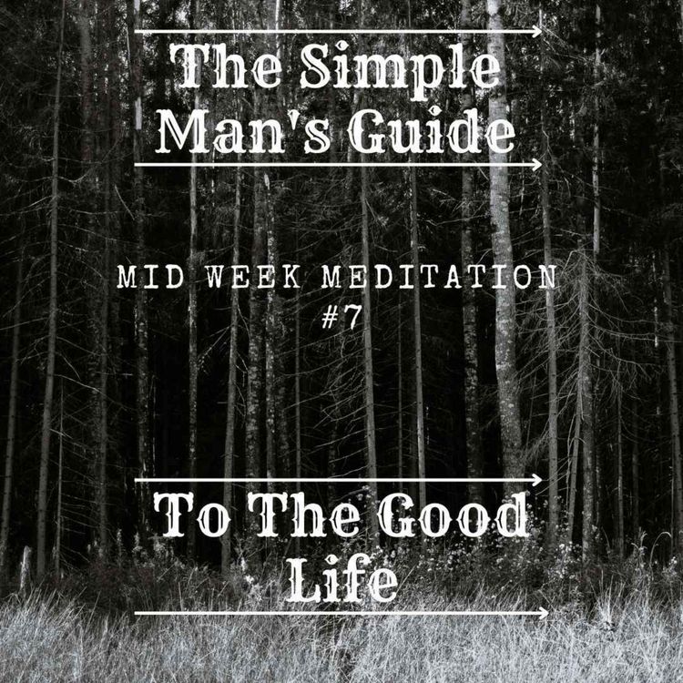 cover art for Mid Week Meditation #7