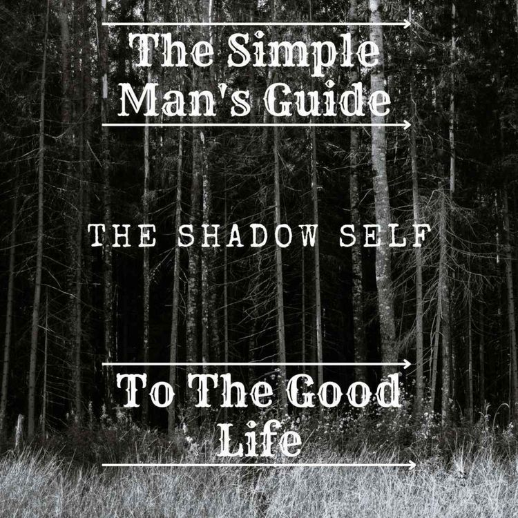 cover art for The Shadow Self
