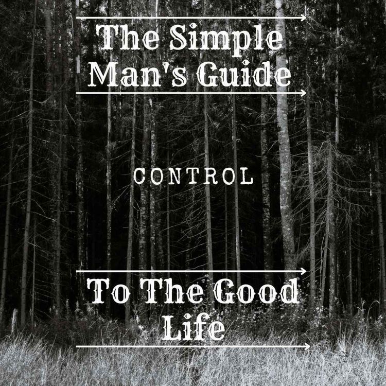 cover art for Control
