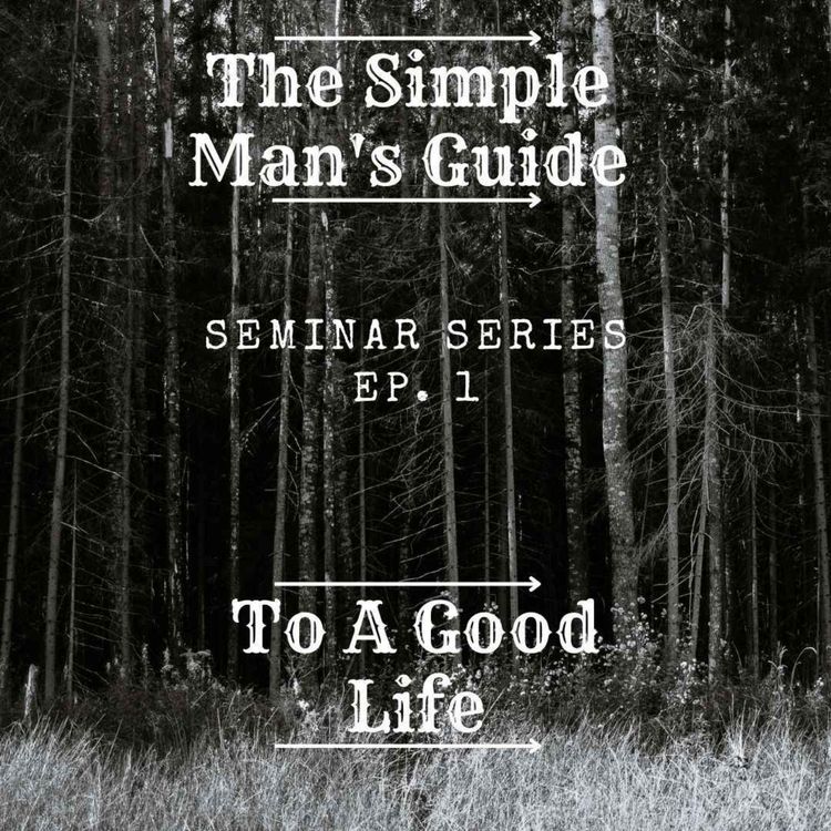 cover art for Seminar Series Ep 1