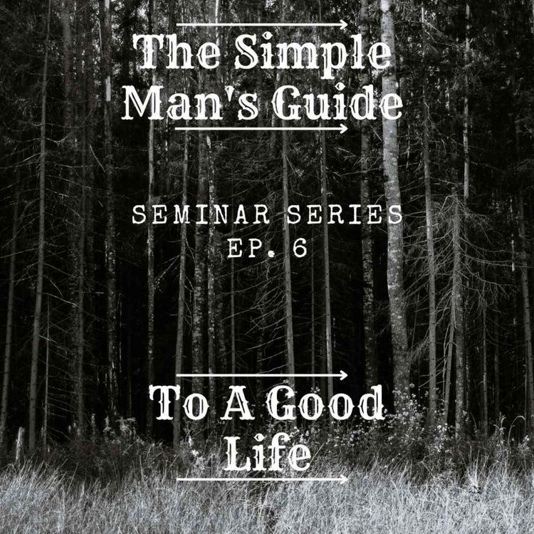 cover art for Seminar Series Ep. 6 (Relationships)