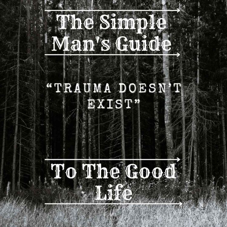 cover art for "Trauma Doesn’t Exist" 