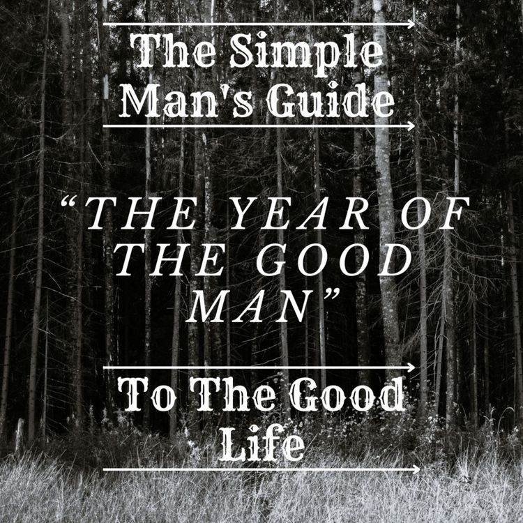 cover art for The Year Of The Good Man