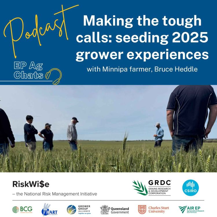 cover art for EP Ag Chats - RiskWi$e: Making the tough calls at seeding 2025 - Bruce Heddle