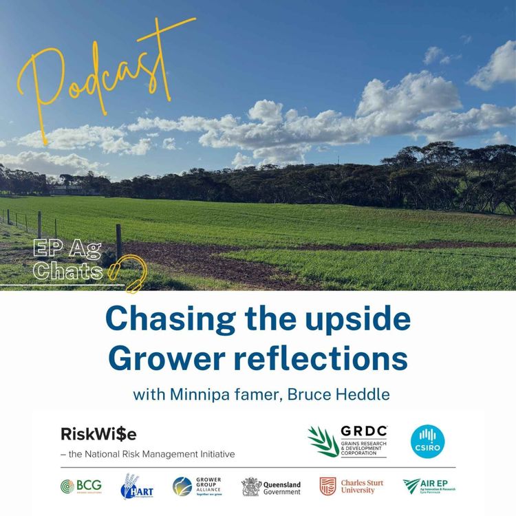 cover art for EP Ag Chats- RiskWi$e: Chasing the upside - Grower reflections in a changing season: Bruce Heddle