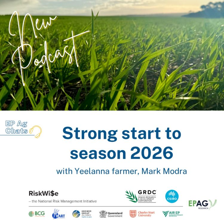 cover art for Riskwise Podcast - Season update 2026 - Grower Reflections with Mark Modra