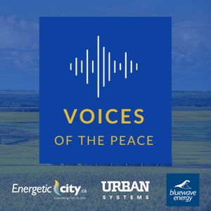 cover art for Voices of the Peace
