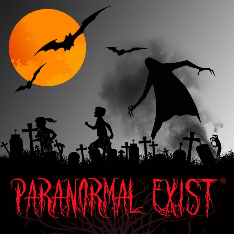 cover art for The Visit