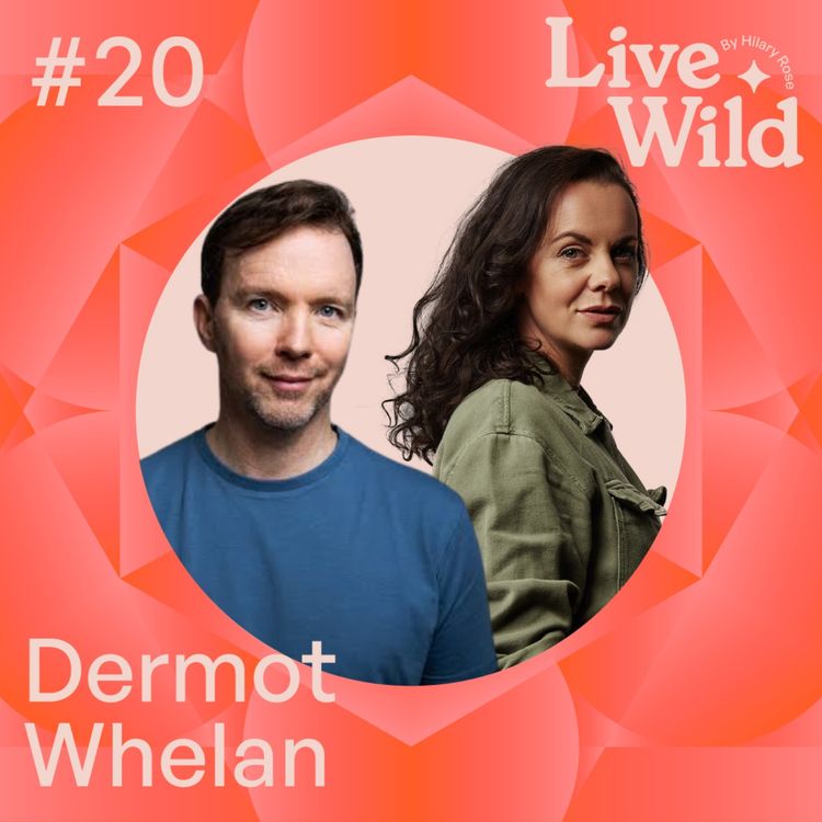 cover art for #20 Dermot Whelan - Broadcaster, Comedian & Meditation Coach 