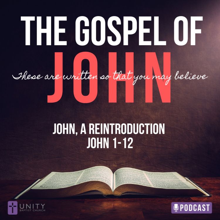 cover art for The Gospel of John: John, A Reintroduction