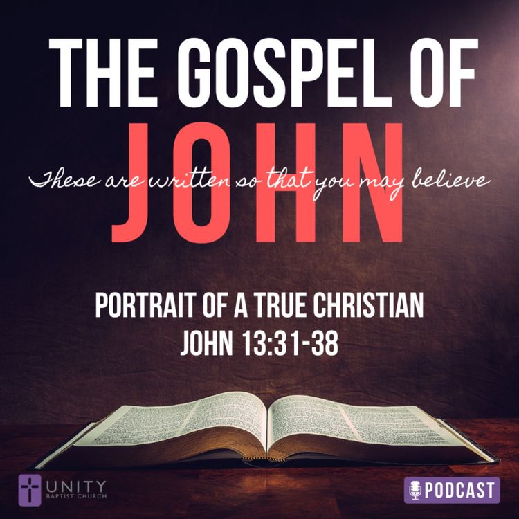 cover art for The Gospel of John: Portrait of a True Christian