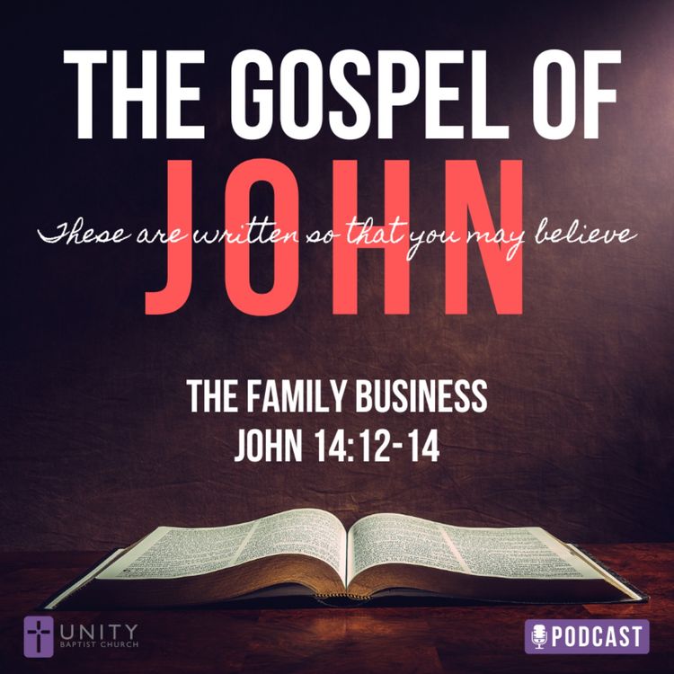 cover art for The Gospel of John: The Family Business