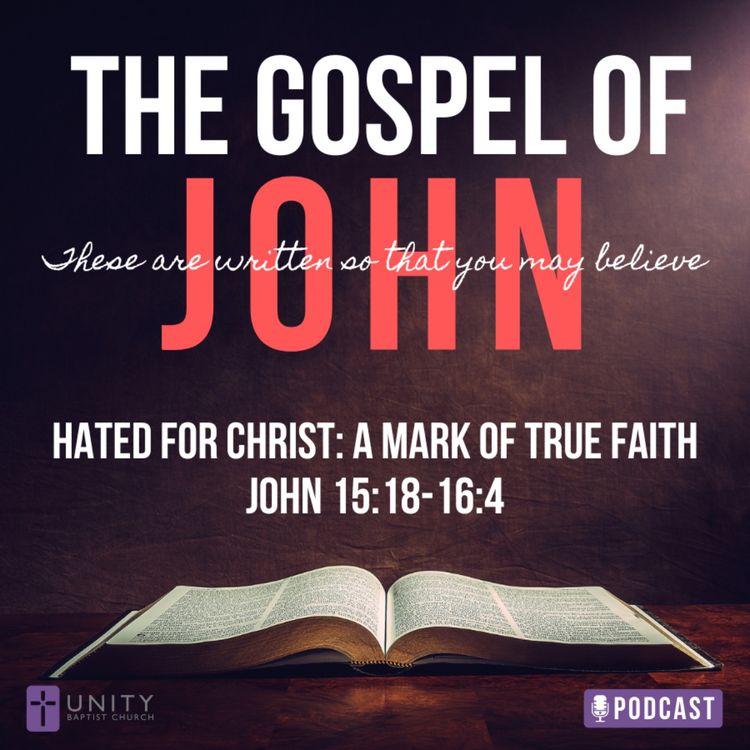 cover art for The Gospel of John: Hated for Christ: A Mark of True Faith