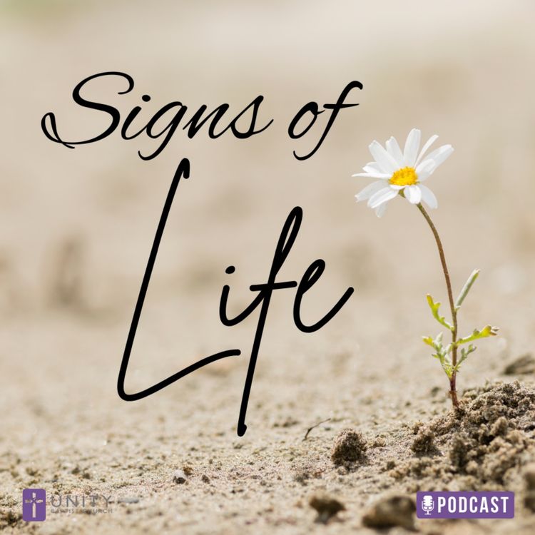 cover art for Easter: Signs of Life