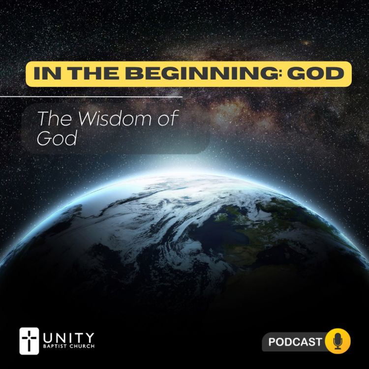 cover art for In the Beginning: God | The Wisdom of God